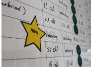 New magnet (star) on a board